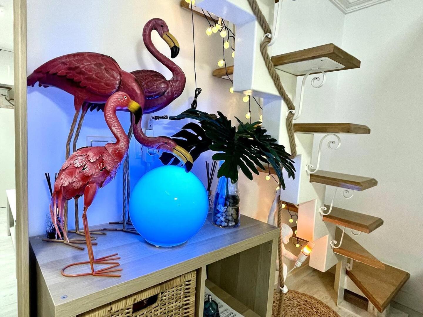 Los Flamencos, Malasana Loft Madrid 45Mq Екстер'єр фото