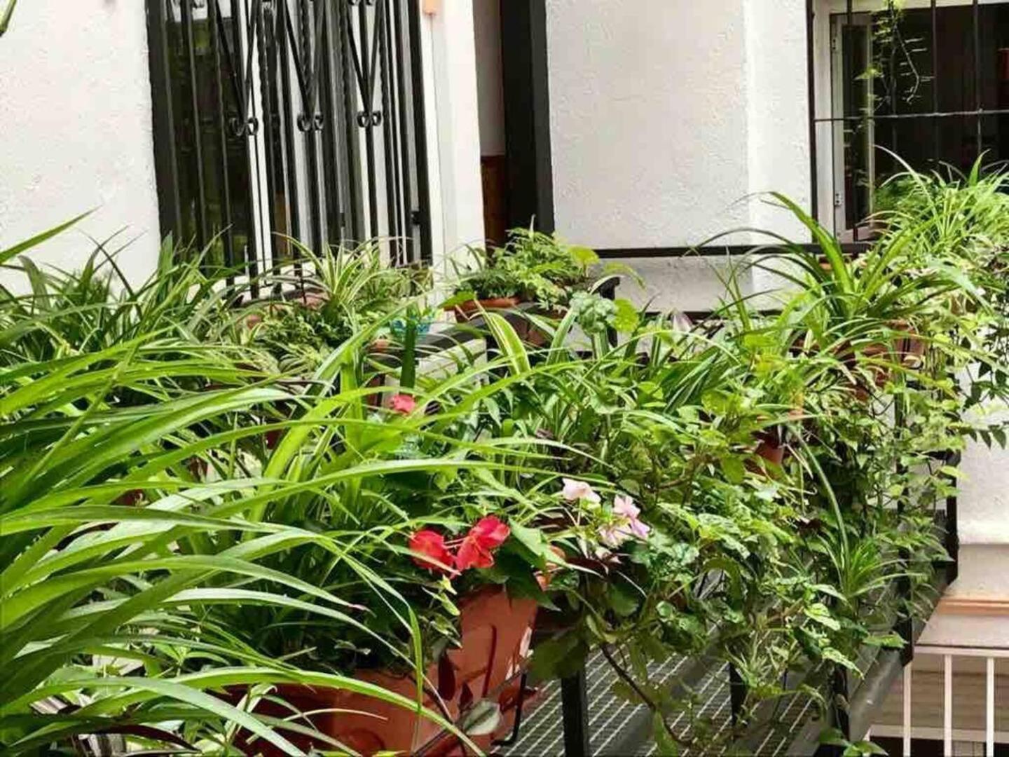 Los Flamencos, Malasana Loft Madrid 45Mq Екстер'єр фото