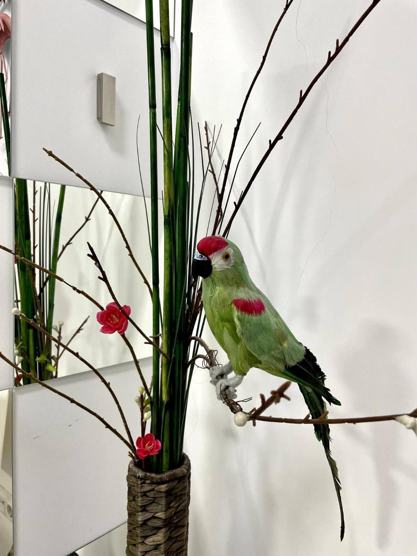 Los Flamencos, Malasana Loft Madrid 45Mq Екстер'єр фото
